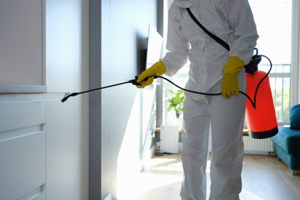 Mold Remediation for Rental Properties in Brandywine Bay, NC